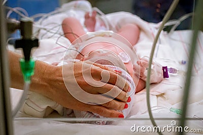 Grandma Baby NICU Stock Photo