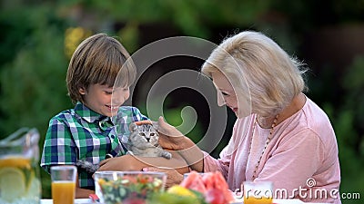 Grandson showing grandmother lovely kitten, hugging cute pet, new family member Stock Photo