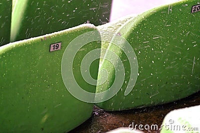 Bench in hard rain. Stock Photo