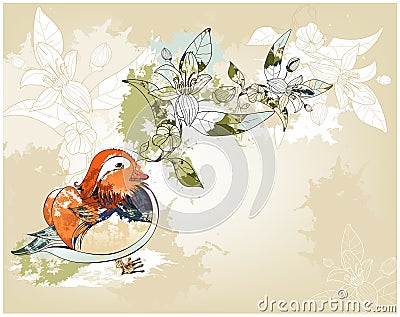 Grange mandarin duck Vector Illustration