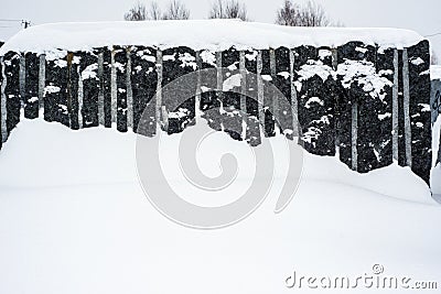 Granite blocks quarried in winter. A lot of snow Stock Photo