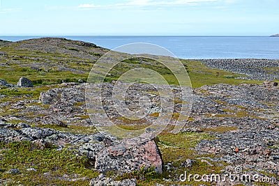 Granite exposures in the tundra on the bank of the Barents Sea. Stock Photo