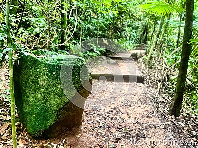 Granite rock along forest trail Stock Photo