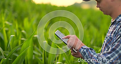 Granjero que usa la tableta digital, plantación cultivada del maíz en fondo Uso moderno de la tecnología adentro almacen de video Granjero que usa la tableta digital, plantación cultivada del maíz en fondo Uso moderno de la tecnología adentro almacen de video