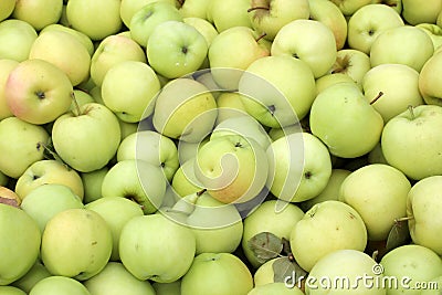 Background image of granny smith apples in barrel at local fruit orchard Stock Photo