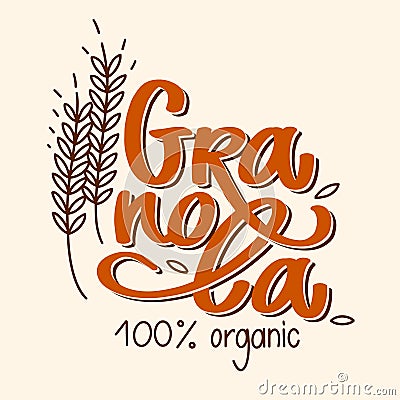 Granola logo vector. Lettering composition, spikelets with grains. Handwritten calligraphy. Healthy snack logotype for Vector Illustration