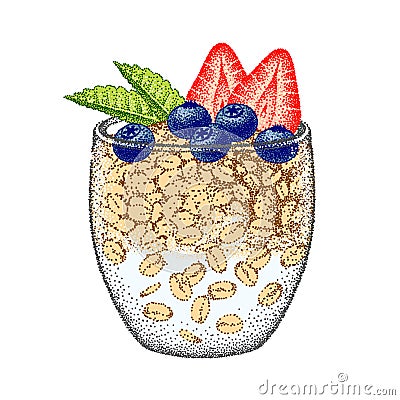 Granola yogurt in glass with strawberries, blueberries, mint. Oatmeal healthy breakfast, oat grain porridge. Cereal food Vector Illustration