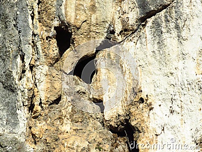 Granular cracked natural limestone rock surface full frame photo. Roe stone rock surface with cracks. Limestone crag texture. Stock Photo