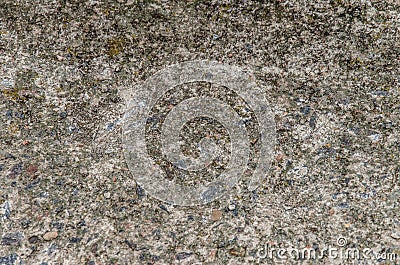 granulated rough empty surface. Gray old concrete wall. Blank textured background. Asphalt or floor Stock Photo