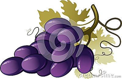 Grape Vector Illustration