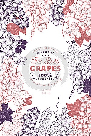 Grape berry frame template. Hand drawn vector fruit illustration. Engraved style vintage botanical background. Vector Illustration