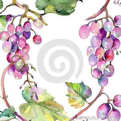 Grape berry healthy food. Watercolor background illustration set. Frame border ornament square. Cartoon Illustration
