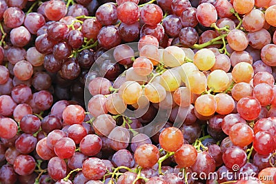 Grape Stock Photo