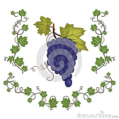 Grape cluster with green leafs Cartoon Illustration