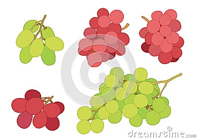 Grape currant and raisin fruit fresh on white background Cartoon Illustration