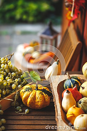 Grape, decorative pumpkins, gourd and squash on wooden table Stock Photo