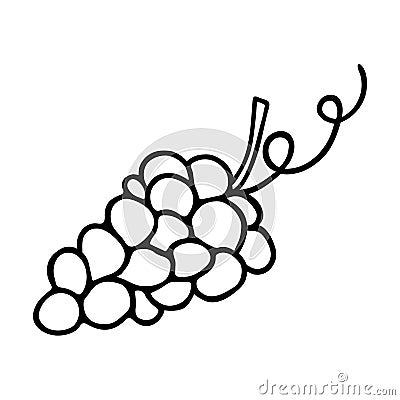 Grape doodle, cooking nutrient. Hand-drawn sweet fruit, proper eating, healthy diet. Sketch, minimalism, line art. Isolated. Vector Illustration