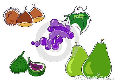 Grape fig chestnuts pears Cartoon Illustration