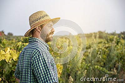 Grape grower looks at his field Stock Photo