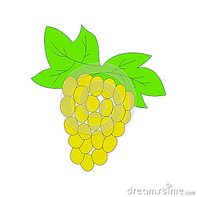 Grape hand drawn sketch in color Vector Illustration