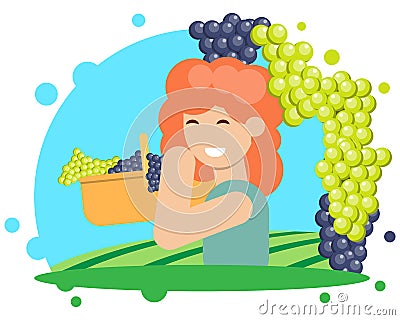 The grape harvesting Vector Illustration