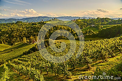 Grape hills and mountains view from wine street in Styria, Austria & x28; Sulztal Weinstrasse & x29; in summer Stock Photo