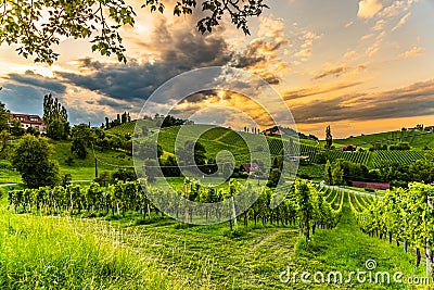 Grape hills and mountains view from wine street in Styria, Austria & x28; Sulztal Weinstrasse & x29; in summer Stock Photo