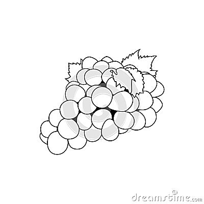 Grape isolated outline Vector Illustration