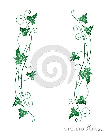 Grape leaves Vector Illustration