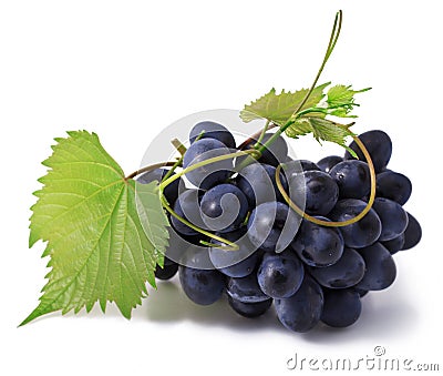 Grape Stock Photo