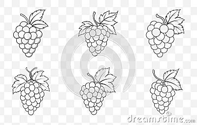 Print Grape Line Art Vector Set Featuring Detailed Illustrations of Grape Clusters Leaves and Vines for Creative Design Projects Vector Illustration