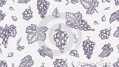 Grape pattern. Vine seamless texture, plants and leaves. Sketch vineyard and wine raw elements vector background Vector Illustration