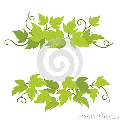 Grape plant decorative elements. Grapevines green curly leaves decor. Vector flat Illustration. Isolated transparent background Stock Photo