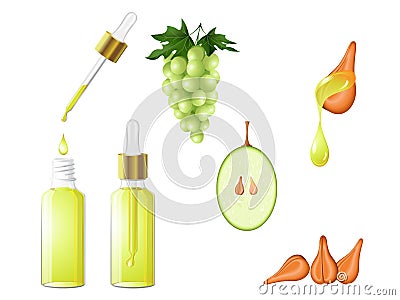 Grape seed oil natural Vector Illustration