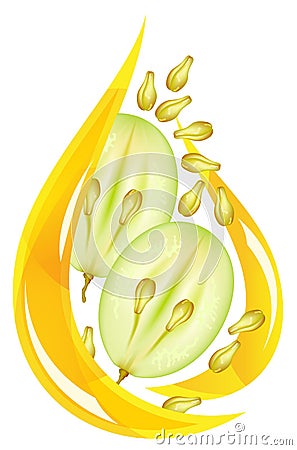 Grape seed oil. Stylized drop. Vector Illustration