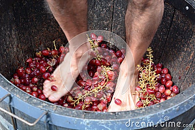 Grape stomping. Hunter Valley. New South Wales. Australia Stock Photo