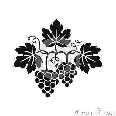 Grape vine and bunch grapes. Grape branches with bunch of grapes and leaves. Vector Illustration