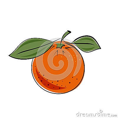 Grapefruit hand drawn on white isolated backdrop. Citrus fruit for gift card, healthy food shop logo, bath tile, juice pack. Phone Vector Illustration