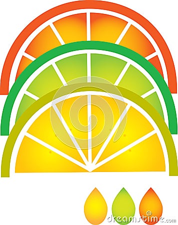 Grapefruit, lemon, lime and orange slices Vector Illustration
