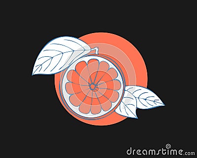 Grapefruit stilyzed hand drawing sketch on color circle, dark background. Label, emblem, logo, icon. Vector Illustration