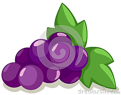 Grapes Vector Illustration