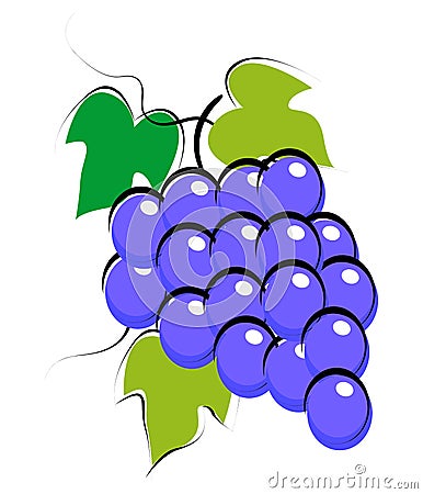 Grapes Vector Illustration