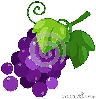 Grapes Vector Illustration