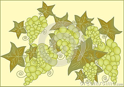 Grapes Vector Illustration