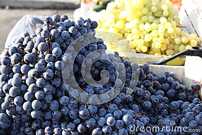 Grapes Stock Photo