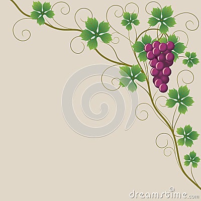 Grapes Vector Illustration