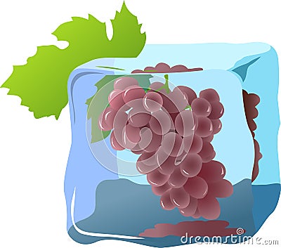 Grapes Vector Illustration