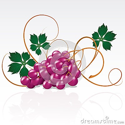 Grapes Vector Illustration