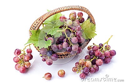 Grapes Stock Photo
