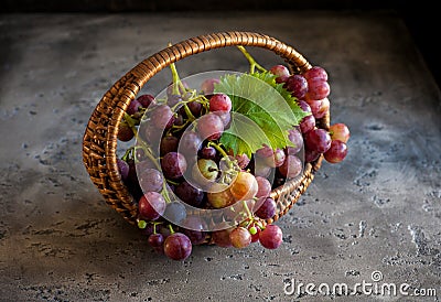 Grapes Stock Photo